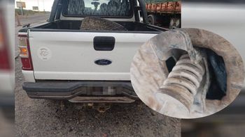 La Policía descubrió carne oculta en una camioneta pick up. Foto: archivo.