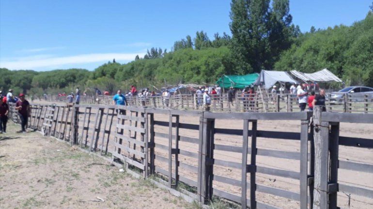 Desarticularon una carrera ilegal de galgos y allanaron el lugar