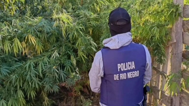 El operativo estuvo a cargo del COER y la Policía de Río Negro. Foto: Gentileza.