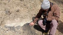 Especialistas del Conicet fueron convocados por la Secretaría de Ambiente y Cambio Climático.