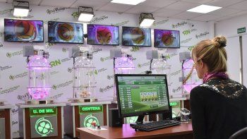 levantaba quiniela ilegal desde una agencia oficial