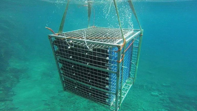 Una cava submarina, es una propuesta que se impulsa en Las Grutas para estudiar características y potenciar el enoturismo. Una cava submarina, es una propuesta que se impulsa en Las Grutas para estudiar características y potenciar el enoturismo.