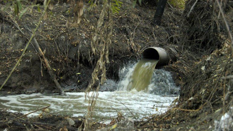 Un informe de Telenoche mostró la contaminación del río Negro