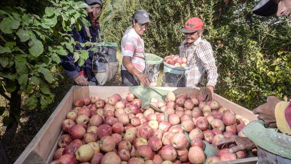 Aval político a los fruticultores para pagar menos impuestos