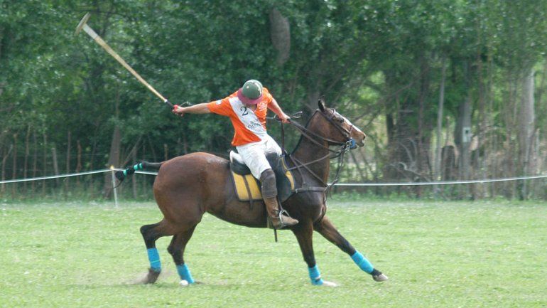 Un domingo diferente con la Expo Caballos del Valle