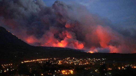 Asisten a los animales afectados por los incendios