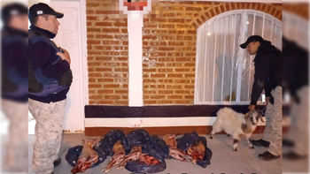 El secuestro fue realizado por&nbsp; la Brigada Rural en General Roca. Foto: Gentileza.