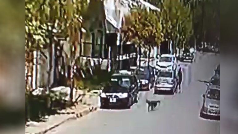 A plena luz del día: le arrebataron el bolso cuando estaba a punto de entrar a su casa