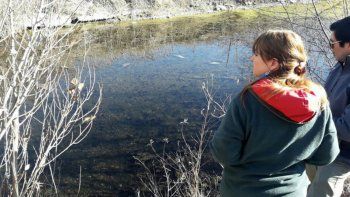 Odarda recorrió el sector donde murieron los peces.
