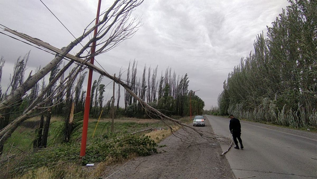 Lo que el viento dejó: Protección Civil recibió más de 180 llamados
