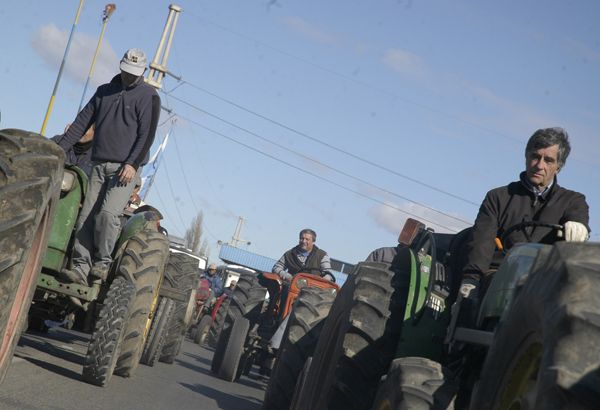 Mañana se reúne la Federación de Productores en Cipolletti