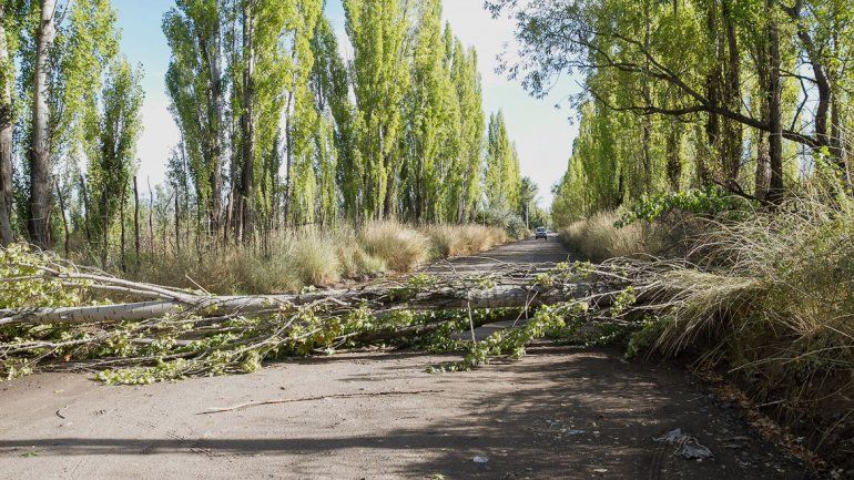 Cayeron 28 milímetros de agua en menos de una hora