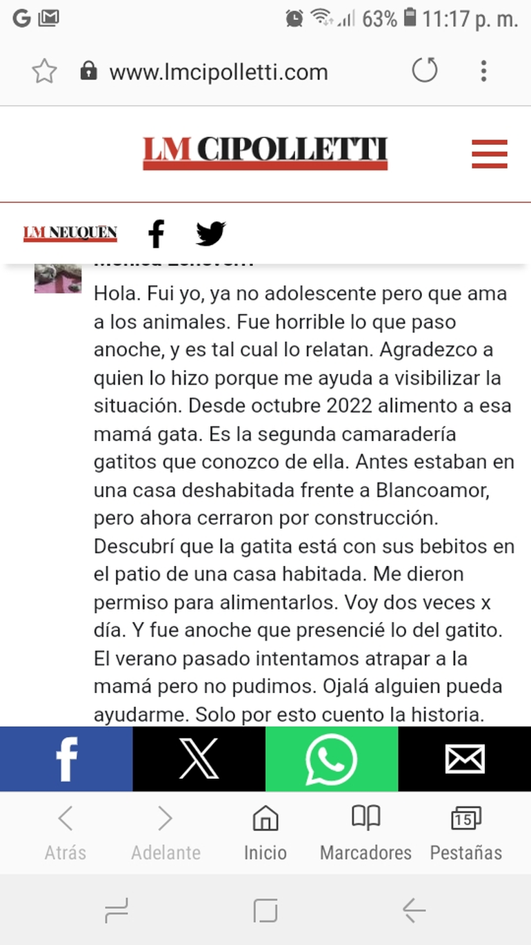 La confesión de la mujer que lloró desconsolada al gatito.