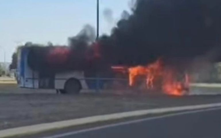 El conductor pudo salir del rodado por sus propios medios. Foto: Gentileza.