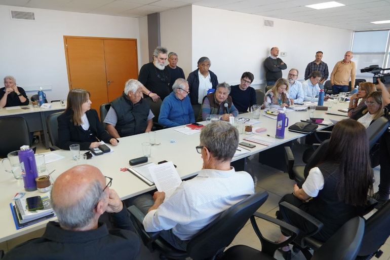 Miembros de diversas colectividades, cuestionaron la medida esta semana en el debate de comisión.