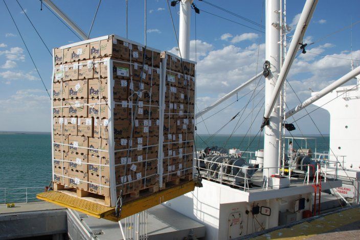El Decreto de Necesidad y Urgencia (DNU) que firmó la presidenta Cristina Fernández y por el cual se reestablece la vigencia del reembolso adicional a las exportaciones para todos los puertos y aduanas ubicados al sur del Río Colorado por el término de ci