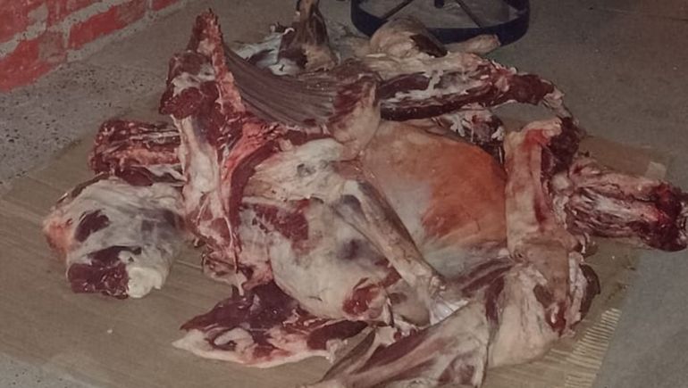 Secuestraron 35 kilos de carne y un arma durante un control vehicular 
