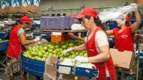 El sindicato de la fruta cerró el acuerdo paritario: de cuánto serán los aumentos. El sindicato de la fruta cerró el acuerdo paritario: de cuánto serán los aumentos.