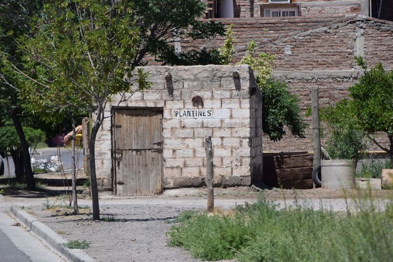 El box sobre la vereda de la calle Ceferino Namuncurá es lo único que queda en pie del viejo stud. El resto son recuerdos. 