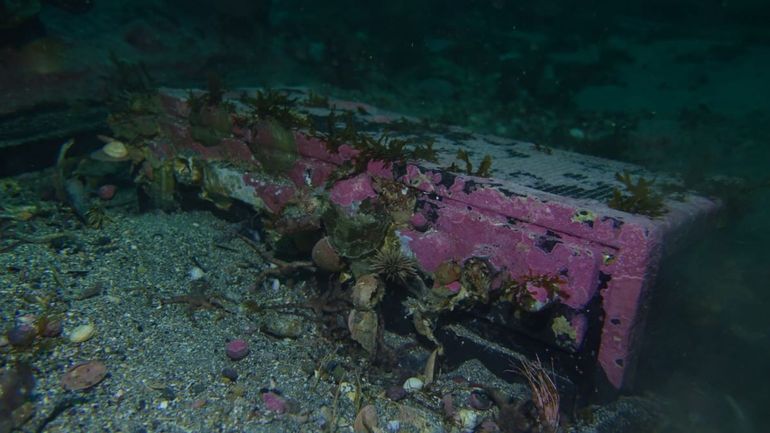 Así se encontraban las baterías del barco hundido frente a Las Grutas. Foto: gentileza.