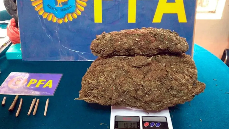 Tenían un kilo de marihuana en la escuela de La Plata