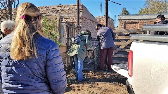 Tenía 4 perros atados en una obra sin agua ni comida y fue condenado por la Justicia