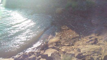 preocupacion por el hallazgo de peces muertos en el chocon