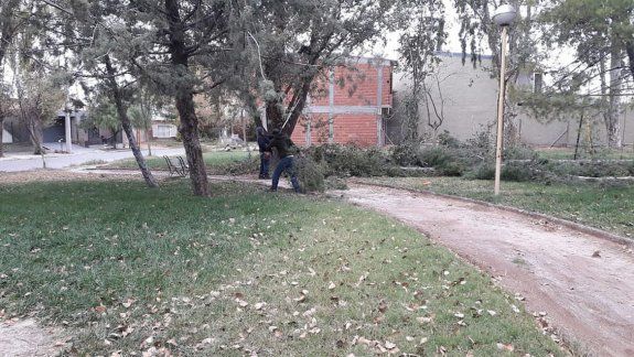 El personal de Servicios Públicos trabaja en las plazas.