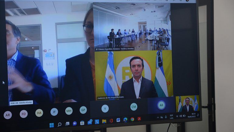 R&iacute;o Negro present&oacute; sus potencialidades a empresas coreanas y alemanas