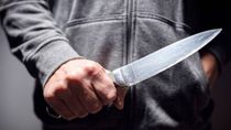 Amenazó a la mujer con un cuchillo para sacarle todo el dinero.