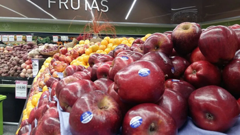 La presencia de manzana chilena en las góndolas locales, sigue siendo marginal.