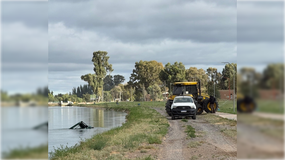 El incidente se registró esta mañana frente al Parque Industrial. Foto: Gentileza (Radio Seny).
