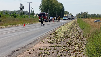 Esta mañana, se registró un nuevo accidente de tránsito sobre ruta 22 tras la perdidas de un cargamento de peras.