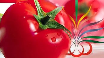 este jueves comienza la fiesta nacional del tomate en lamarque