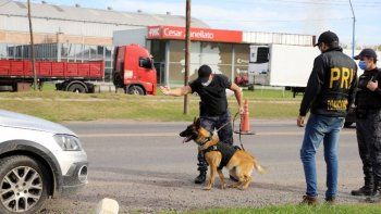 dos narcos condenados gracias al perro maximo