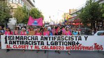 en imagenes: asi fue la la marcha federal del orgullo antifascista y antirracista en el alto valle