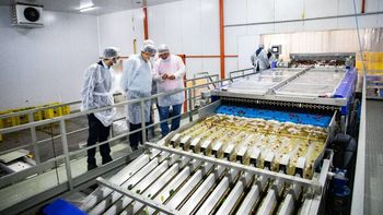 en 2 meses, fogario ya acompano a 26 pymes rionegrinas en 2 meses, fogario ya acompano a 26 pymes rionegrinas