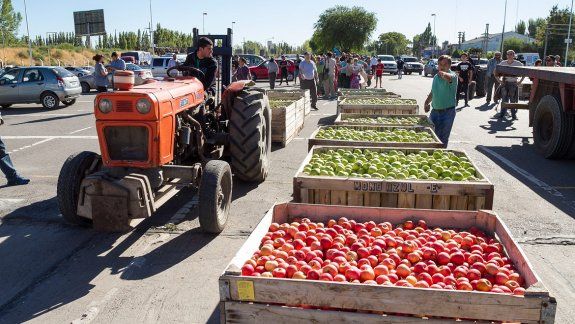 La fruticultura viene en declive hace muchos años y, pese a las numerosas protestas, las soluciones no aparecen.