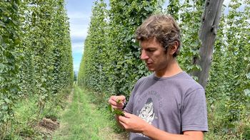 Hernán Testa, ingeniero agrónomo y socio de Patagonia Lúpulos Andinos. Hernán Testa, ingeniero agrónomo y socio de Patagonia Lúpulos Andinos.