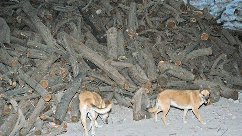 La leña les cuesta cara a los vecinos de las tomas y barrios de la periferia.