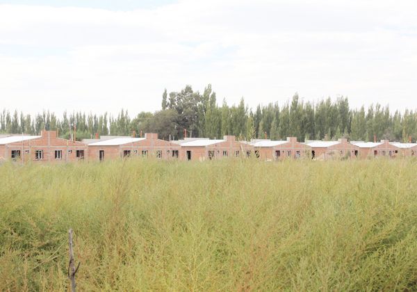 Se busca un lugar para La Canterita