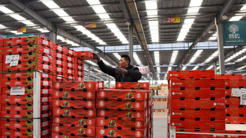 La oferta exportable de Cerezas de Chile se concentra en un 90% en el mercado de China.