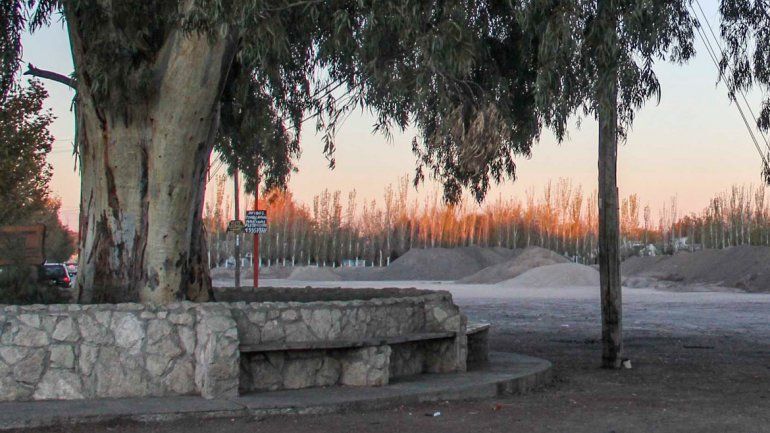 El viejo eucalipto dejará de ser la referencia del cruce de Alem y Kennedy.