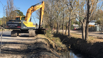 El Municipio de Cipolletti avanza con la limpieza, desmalezamiento y tala de arboles sobre el canal Curri Lamuen.  