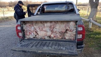 otra vez: decomisaron un gran cargamento de carne ilegal