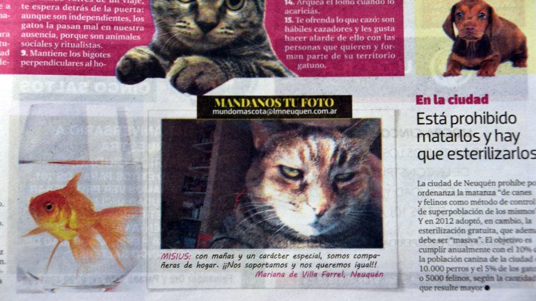 Mandanos la foto de tu mascota a mundomascota@lmneuquen.com.ar.