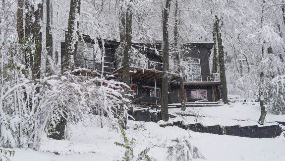 Una enorme rama cayó por la nieve sobre dos niños: uno murió