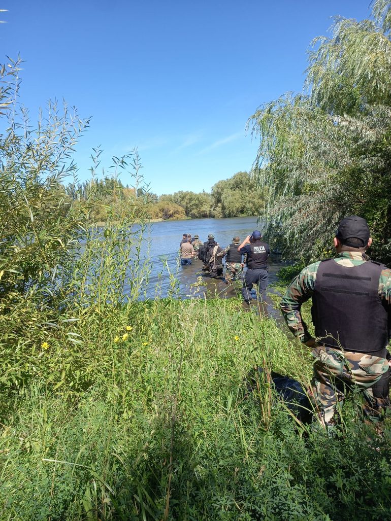 El cultivo estaba camuflado entre álamos y sauces. 