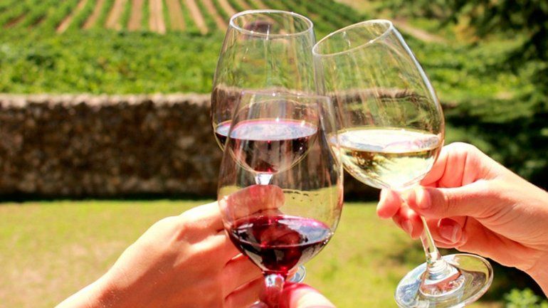 Radiografía del turismo del vino: un negocio en alza