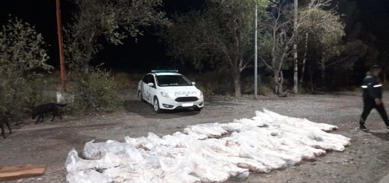 Policías decomisaron más de 1200 kilos de carne